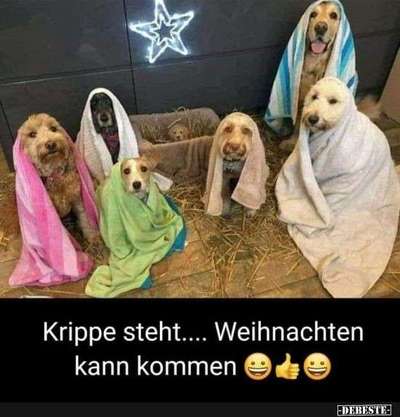 Hier ist der Spaßthread. Zum Schmunzeln und Kaputtlachen-Beitrag-Bild