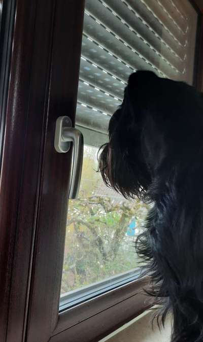 Moviestar-Pics!-Beitrag-Bild