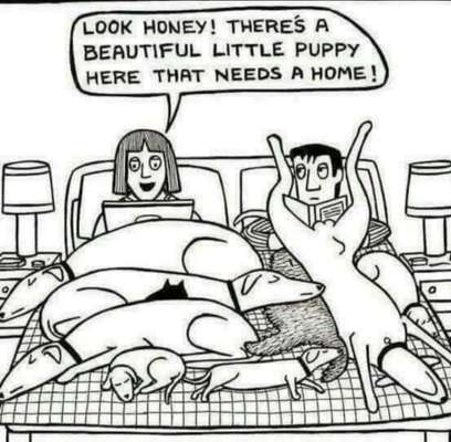 Hier ist der Spaßthread. Zum Schmunzeln und Kaputtlachen-Beitrag-Bild