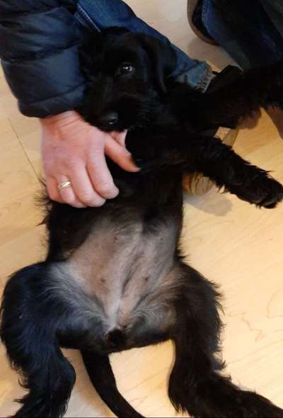 Fotochallange Nummer 5-Beitrag-Bild