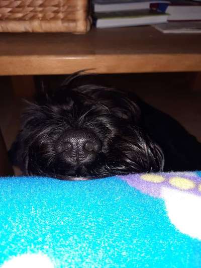 28. Handy-Fotochallenge - Damals und heute-Beitrag-Bild