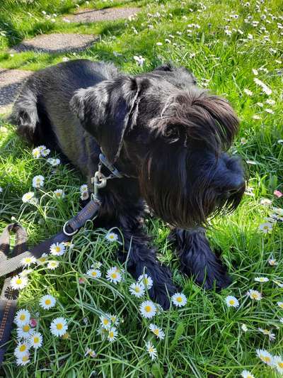 Fotochallenge 78

Es grünt und blüht-Beitrag-Bild