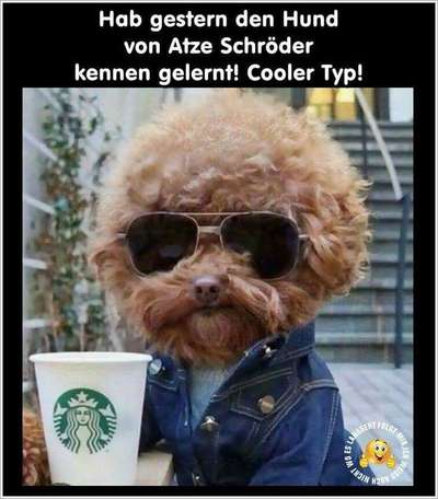 Hier ist der Spaßthread. Zum Schmunzeln und Kaputtlachen-Beitrag-Bild