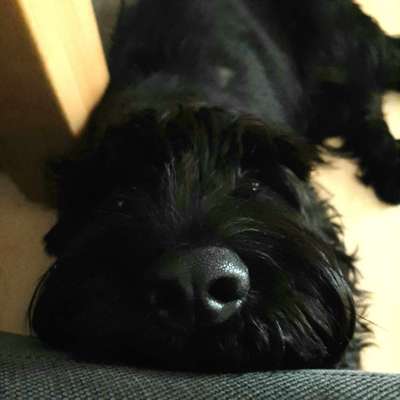 Zeigt mir die tollste Nahaufnahme von eurer Fellnase-Beitrag-Bild