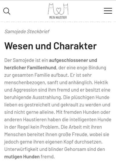 Großer Hund für die Wohnung?-Beitrag-Bild