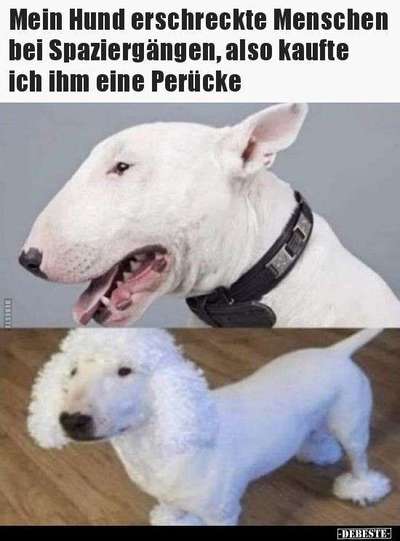 Hier ist der Spaßthread. Zum Schmunzeln und Kaputtlachen-Beitrag-Bild