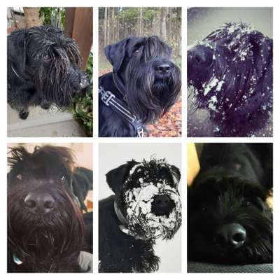 23. Collagen-Challenge: Portraits-Beitrag-Bild