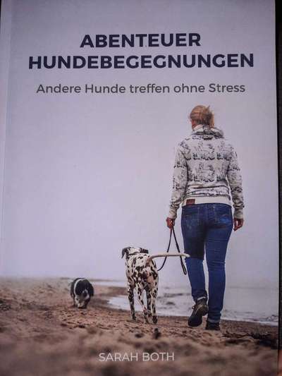 Hund bei Hundebegegnungen?-Beitrag-Bild