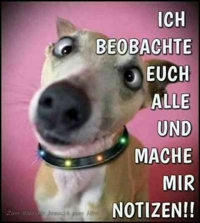 Hier ist der Spaßthread. Zum Schmunzeln und Kaputtlachen-Beitrag-Bild