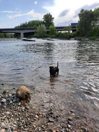 42.Fotochallenge - Eure schönen Momente beim Spaziergang-Beitrag-Bild
