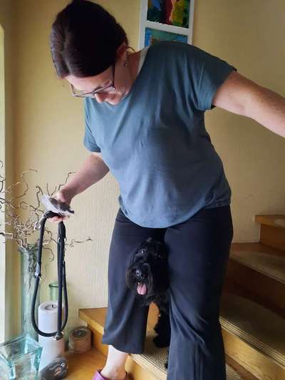 Hundmenschfotos-Beitrag-Bild