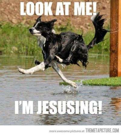 Hier ist der Spaßthread. Zum Schmunzeln und Kaputtlachen-Beitrag-Bild