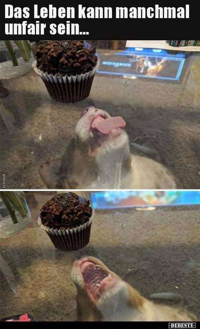 Hier ist der Spaßthread. Zum Schmunzeln und Kaputtlachen-Beitrag-Bild