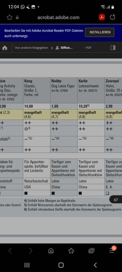 Gutes Spielzeug für Welpen/Junghund-Beitrag-Bild