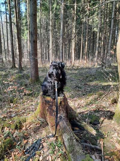 Foto Challenge Nr. 79-Beitrag-Bild