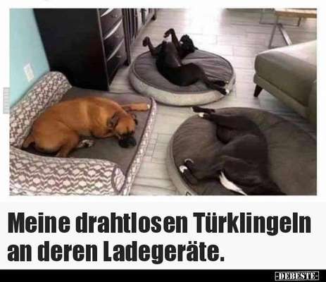 Hier ist der Spaßthread. Zum Schmunzeln und Kaputtlachen-Beitrag-Bild