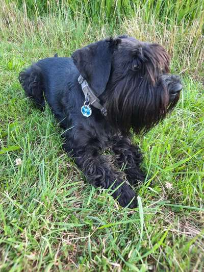 Ist das ein...?-Beitrag-Bild