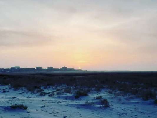 Die wunderschöne Welt mit Hund.-Beitrag-Bild