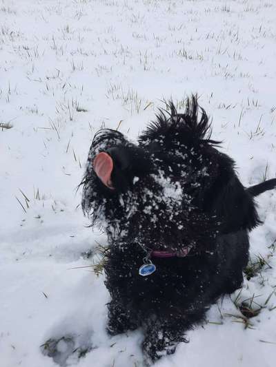 Handyfoto challenge Nr. 13: Waschlappen raus!-Beitrag-Bild