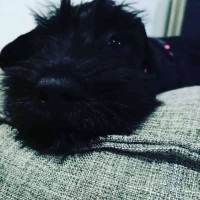 28. Handy-Fotochallenge - Damals und heute-Beitrag-Bild