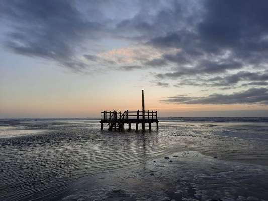 Die wunderschöne Welt mit Hund.-Beitrag-Bild
