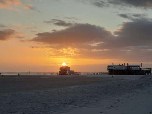 Die wunderschöne Welt mit Hund.-Beitrag-Bild