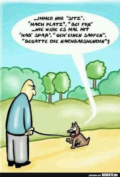 Hier ist der Spaßthread. Zum Schmunzeln und Kaputtlachen-Beitrag-Bild