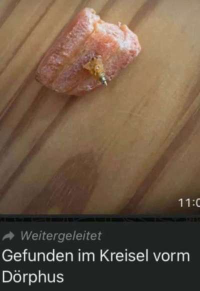 Giftköder-Mit Nägeln gespicktes Fleisch-Bild