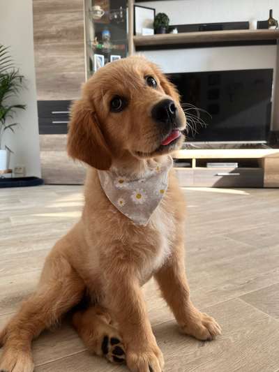 147. Foto Challenge: Bettelblick-Beitrag-Bild