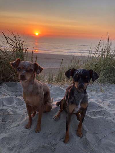 Eure Strandbilder :)-Beitrag-Bild