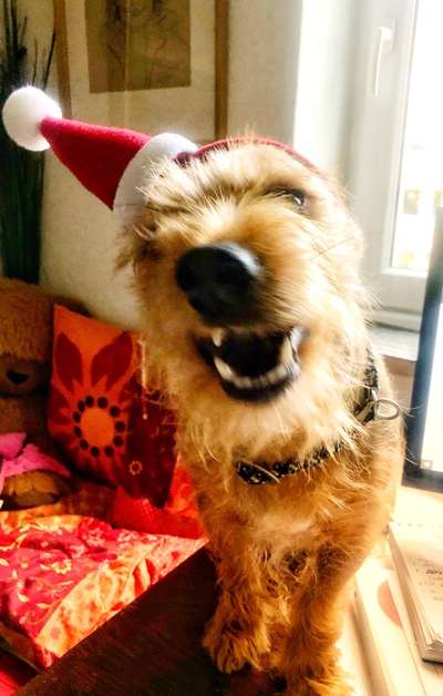 Her mit dem Grimassen-Beitrag-Bild