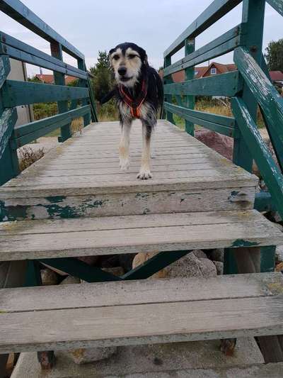 Foto Challenge Thema "Brücke"-Beitrag-Bild