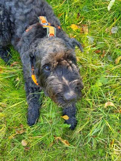 Farben Fotochallenge Thema ,,Grün"-Beitrag-Bild