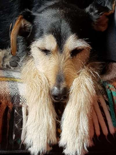 42. Handy Fotochallenge - Den richtigen Riecher haben-Beitrag-Bild