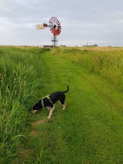 Farben Fotochallenge Thema ,,Grün"-Beitrag-Bild