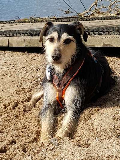 37. Collagen Challenge- Am Strand-Beitrag-Bild