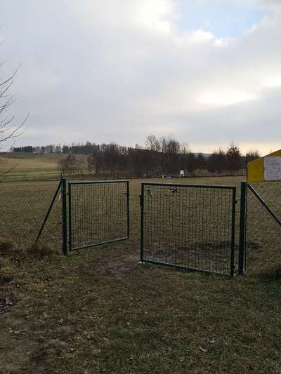 Hundeauslaufgebiet-Eingezäunter Hundeplatz-Bild