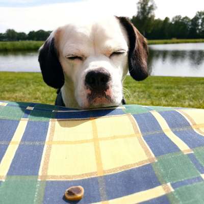 Lieblingsbild :D-Beitrag-Bild