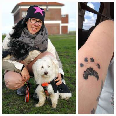 Erinnerungs Tattoos-Beitrag-Bild