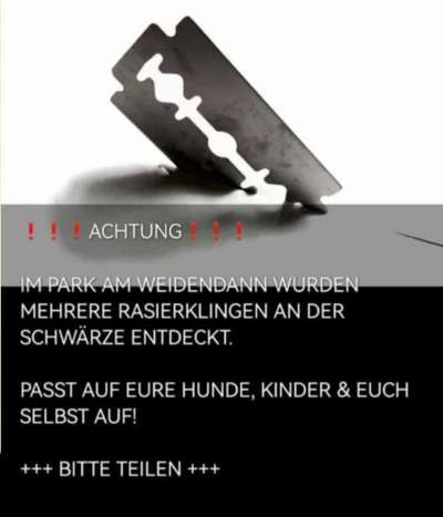 Giftköder-Rasierklingen-Bild