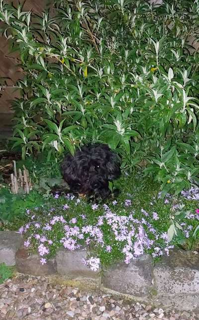 Fotowettbewerb Natur-Beitrag-Bild