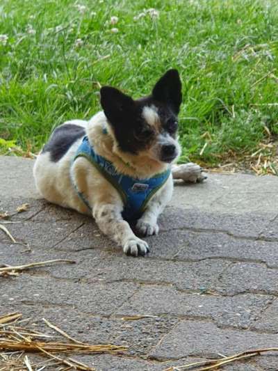 Auge gerissen und ausgelaufen-Beitrag-Bild