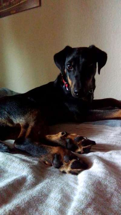 Lieblingsbild-Beitrag-Bild