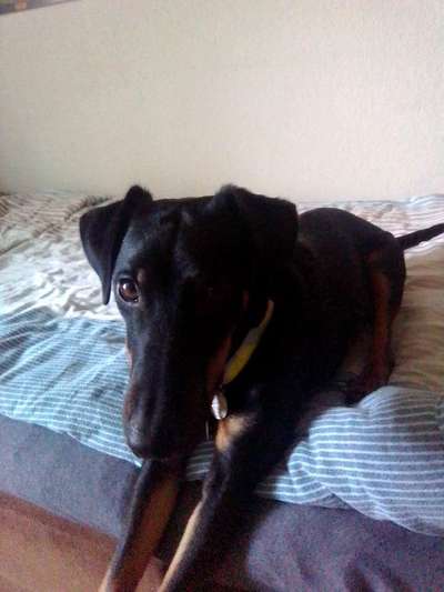 Zeigt eure Portraits-Beitrag-Bild