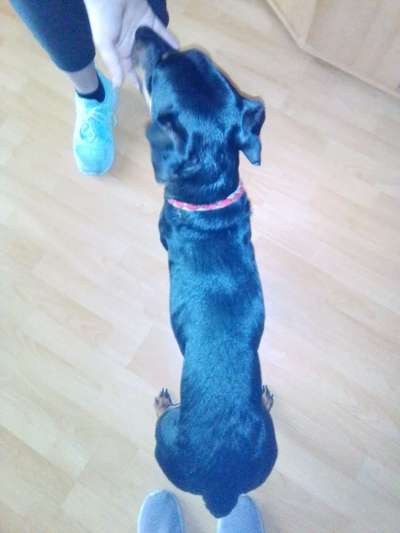 Der Gewichts-Thread-Beitrag-Bild