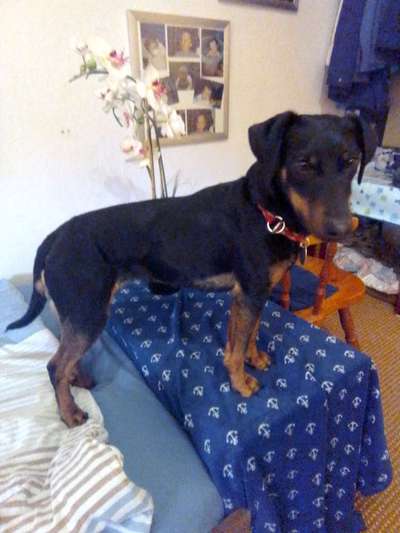 Der Gewichts-Thread-Beitrag-Bild