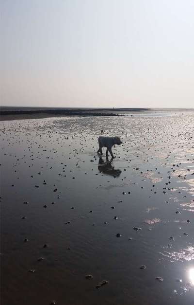 Theos Fotochallange Nummer 4-Beitrag-Bild