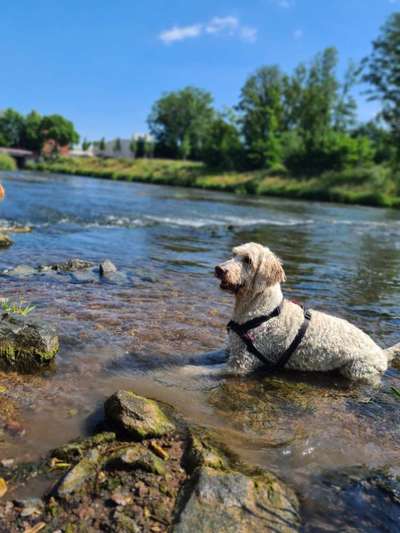 Fotochallenge Nr. 94 It's summer time-Beitrag-Bild