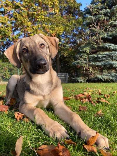 Lieblingsbild-Beitrag-Bild