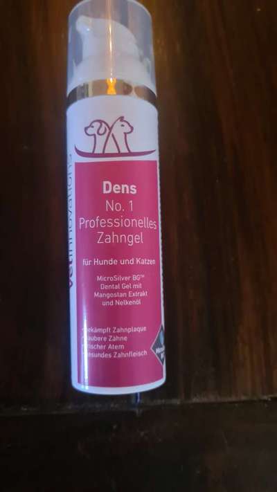 Havaneser dabei?:)-Beitrag-Bild